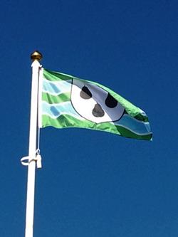 Worcester-flag