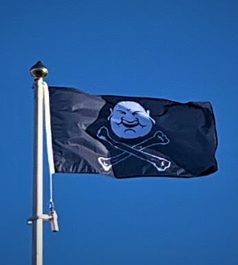 Skull & Bones Flag