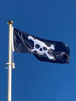 skull_flags