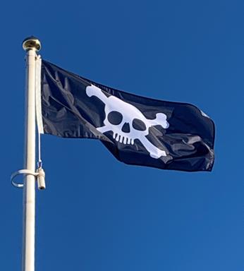 skull_flags