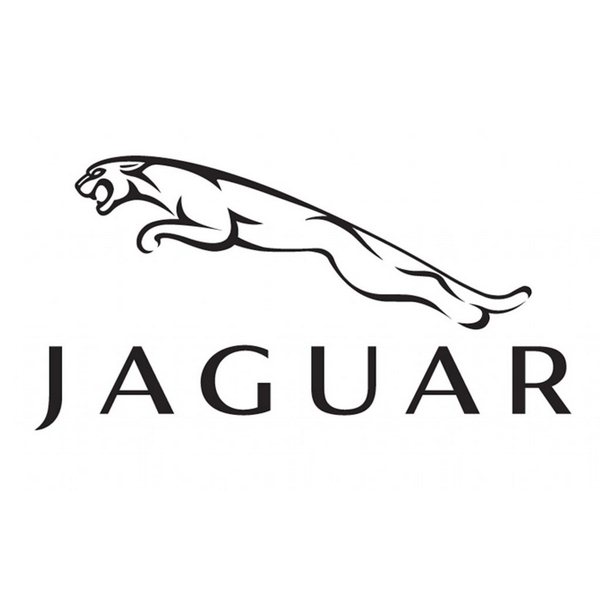 Jaguar dealership displays by Flagpole Express
