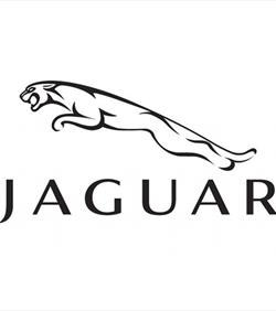 Jaguar dealership displays by Flagpole Express