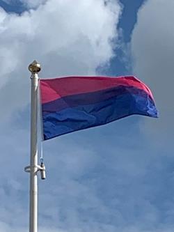 Bisexual-flags