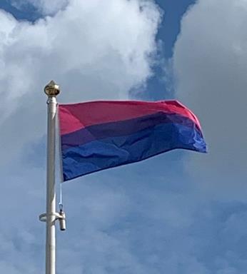 Bisexual-flags