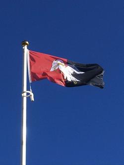 Buckinghamshire-Flag