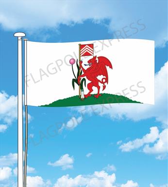 Printed Cardiff City Flag