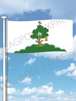 Glasgow-flag