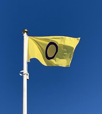 Intersex_flag