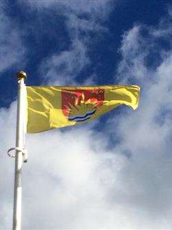 Suffolk-Flag