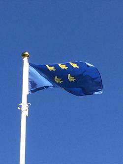 Sussex-Flag