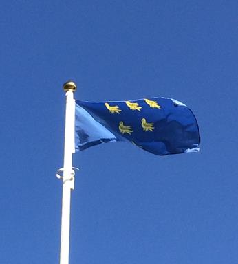 Sussex-Flag