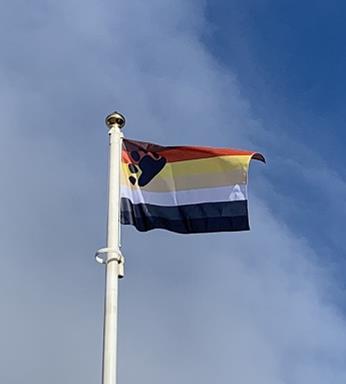 bear_flags
