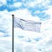 printed traditional landscape flag 