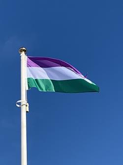 genderqueer_flag