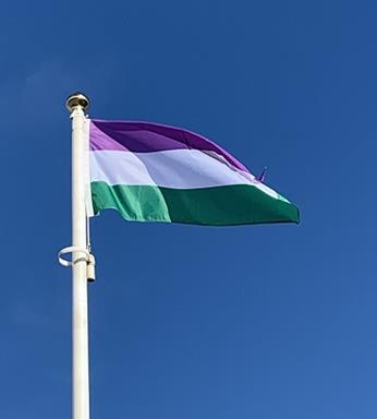 genderqueer_flag