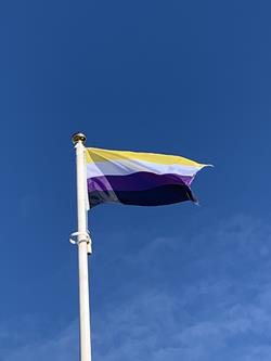 nonbinary_flags