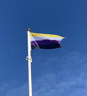 nonbinary_flags
