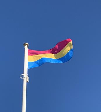 pansexual_flags