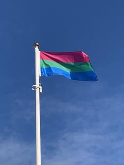polysexual_flag