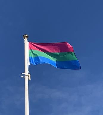 polysexual_flag