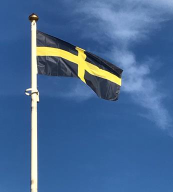 saint-david-flag