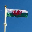 Wales Flags Hand Sewn