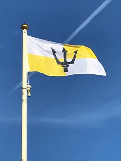 Denbighshire Flag Digitally Printed