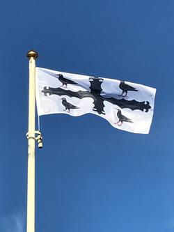 Flintshire county flag digitally printed