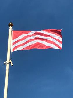 glamorgan county flags