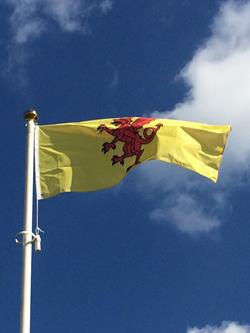 somerset flag